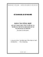 Nghiên cứu thiết kế và công nghệ chế tạo tàu ứng phó sự cố tràn dầu