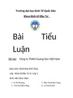 Đầu tư nước ngoài và chuyển giao công nghệ  công ty TNHH guang lian việt nam