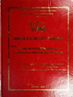 Quản trị rủi ro trong các ngân hàng thương mại Việt Nam