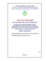 Đánh giá suy thoái môi trường trong quá trình chuyển đổi đất nông lâm sang nuôi trồng thuỷ sản ở các huyện ven biển đồng bằng sông cửu long và đề xuất các giải pháp sử dụng bền vững tài nguyên đất