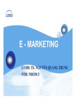 tiểu luận e-marketing