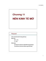 Nền kinh tế mở pot