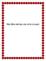 Ðặc điểm sinh học của cá lóc (cá quả) pptx