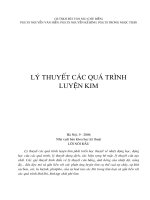 Giáo trình lý thuyết các quá trình luyện kim