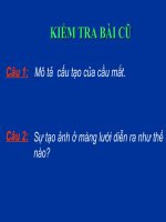 Giáo án sinh học 8 tham khảo Bài 50 Vệ sinh mắt