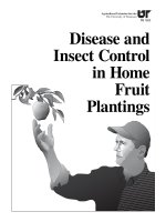 disease and insect control in home fruit plantings