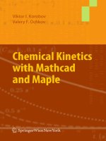 chemical kinetics with mathcad and maple