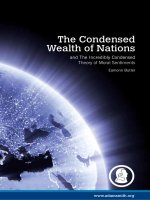 The Condensed Wealth of Nations