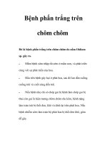 Bệnh phấn trắng trên chôm chôm potx