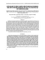 Tuyển chọn một số chủng vi khuẩn và nấm rễ Arbuscular Mycorrhizal fungi (AMF) có khả năng chuyển hóa, hấp thu Cu, Pb, Zn cao để cải tạo đất ô nhiễm kim loại nặng pot