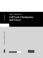 cell cycle checkpoints and cancer