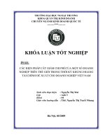 Các biện pháp cắt giảm chi phí của một số doanh nghiệp trên thế giới trong thời kỳ khủng hoảng tài chính đề xuất cho doanh nghiệp Việt Nam
