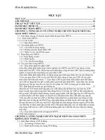 đồ án ;Chuyển mạch nhãn đa giao thức không dây WMPLS