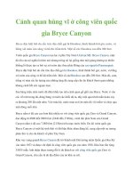 Cảnh quan hùng vĩ ở công viên quốc gia Bryce Canyon ppt