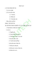 Khóa luận tốt nghiệp : Bộ Sưu Tập  Tranh Kính