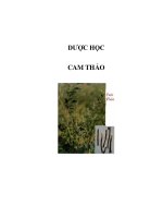 dược học - cam thảo