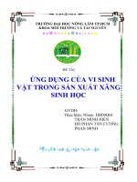 Đề tài: ỨNG DỤNG CỦA VI SINH VẬT TRONG SẢN XUẤT XĂNG SINH HỌC docx