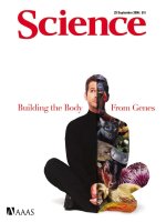 Tạp chí khoa học số  2006-09-29