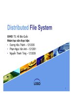 tiểu luận distributed file system