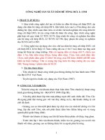 CÔNG NGHỆ SẢN XUẤT DẦM BÊ TÔNG DUL L=33M