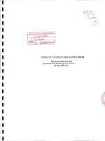 Báo cáo tài chính công ty cổ phần nhựa Bình Minh_Năm tài chính kết thúc ngày 31 tháng 12 năm 2010