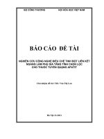 Nghiên cứu công nghệ điều chế tinh bột liên kết ngang làm phụ gia tăng tính chọn lọc cho thuốc tuyển quặng apatit