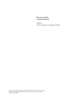 yamamoto - main group metals in organic synthesis (wiley, 2004)