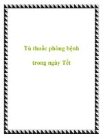 Tủ thuốc phòng bệnh trong ngày Tết doc