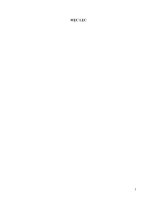 Đề tài: Tìm hiểu về IP-V6