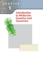 introduction to molecular genetics and geonomics - hearts