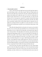 Nghiên cứu xác định mức protein thích hợp trên cơ sở cân bằng một số axit amin trong thức ăn cho lợn ngoại nuôi thịt