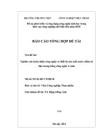 Nghiên cứu hoàn thiện công nghệ và thiết bị sản xuất nước chấm từ đậu tương bằng công nghệ vi sinh