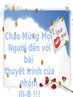 Thuyết trình chủ đề Tình Hình dân số Việt Nam pptx