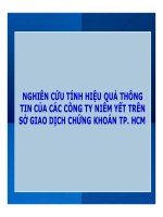 bài giảng nghiên cứu tính hiệu quả thông tin của các công ty niêm yết trên sở giao dịch chứng khoán tp. hcm