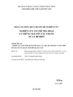 Chuyên đề:Nghiên cứu cơ chế phá hoại  và những nguyên tắc chung xử lý đê biển