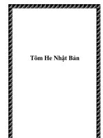 Tôm He Nhật Bản docx