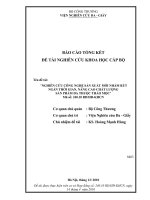 Nghiên cứu công nghệ sản xuất mới nhằm rút ngắn thời gian, nâng cao chất lượng sản phẩm da thuộc thảo mộc