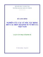 Nghiên cứu các cú sốc tác động đến các biến số kinh tế vĩ mô của việt nam