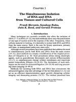 basic dna and rna protocols