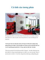 Cá tính của tương phản pptx