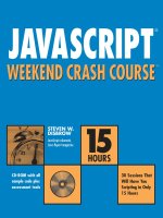 hungry minds javascript weekend crash course