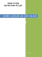 chiếc lexus và cây olive