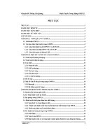 định tuyến trong mạng gmpls