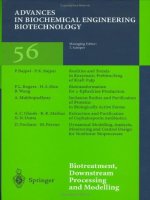 biotreatment downstream processing and modelling advances in biochemical engineering