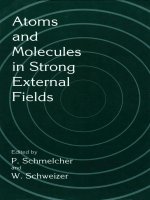 atoms and molecules in strong external fields