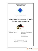 phân tích hiệu quả kĩ thuật của vụ lúa hè thu ở thành phố cần thơ