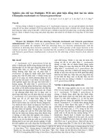 Nghiên cứu chế tạo Multiplex PCR mix phát hiện đồng thời hai tác nhân Chlamydia trachomatis và Neissera gonorrhoeae doc