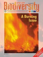 Forest Fires, A Burning Issue pptx