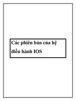 Các phiên bản của hệ điều hành IOS pdf