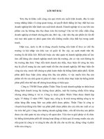 giải pháp hoàn thiện công tác tổ chức hệ thống kênh phân phối của công ty tnhh dược phẩm thiên thảo